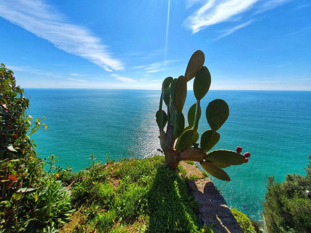 La Terrazza Sul Blu Apartment Corniglia Exterior photo