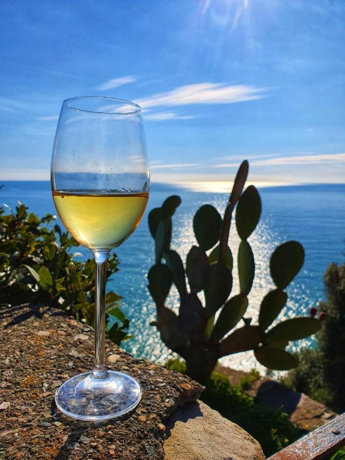 La Terrazza Sul Blu Apartment Corniglia Exterior photo
