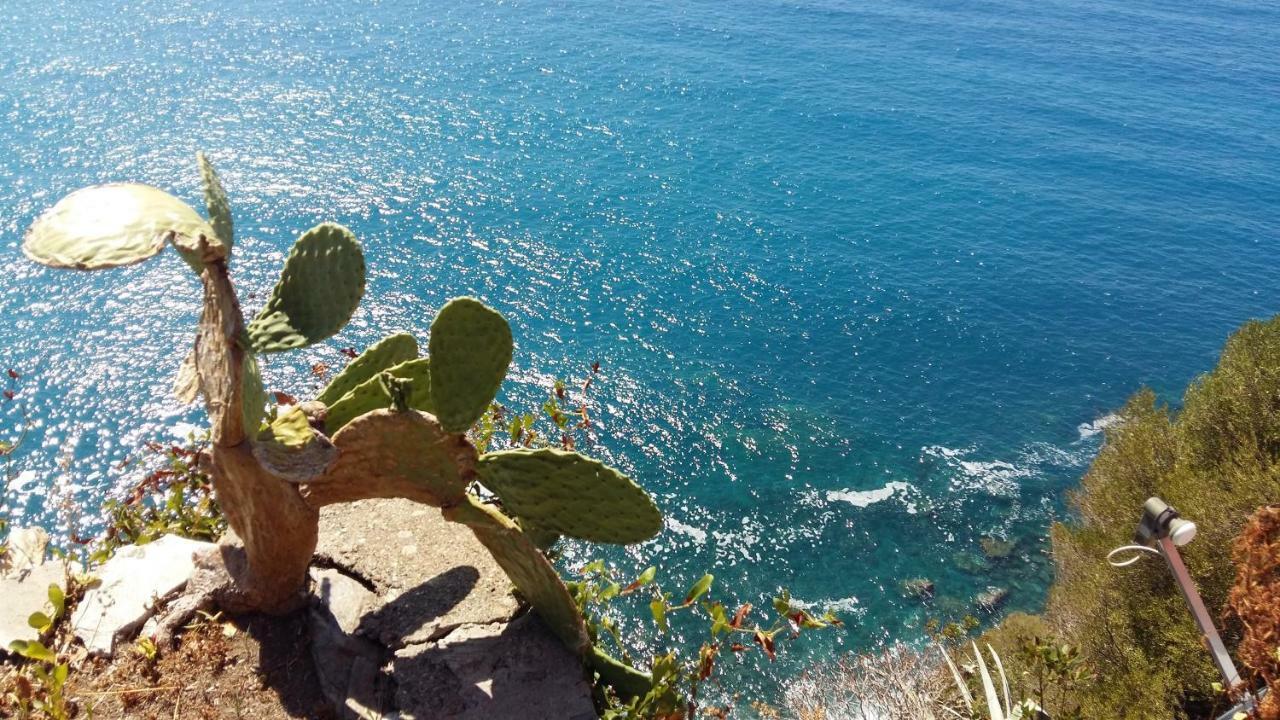 La Terrazza Sul Blu Apartment Corniglia Exterior photo